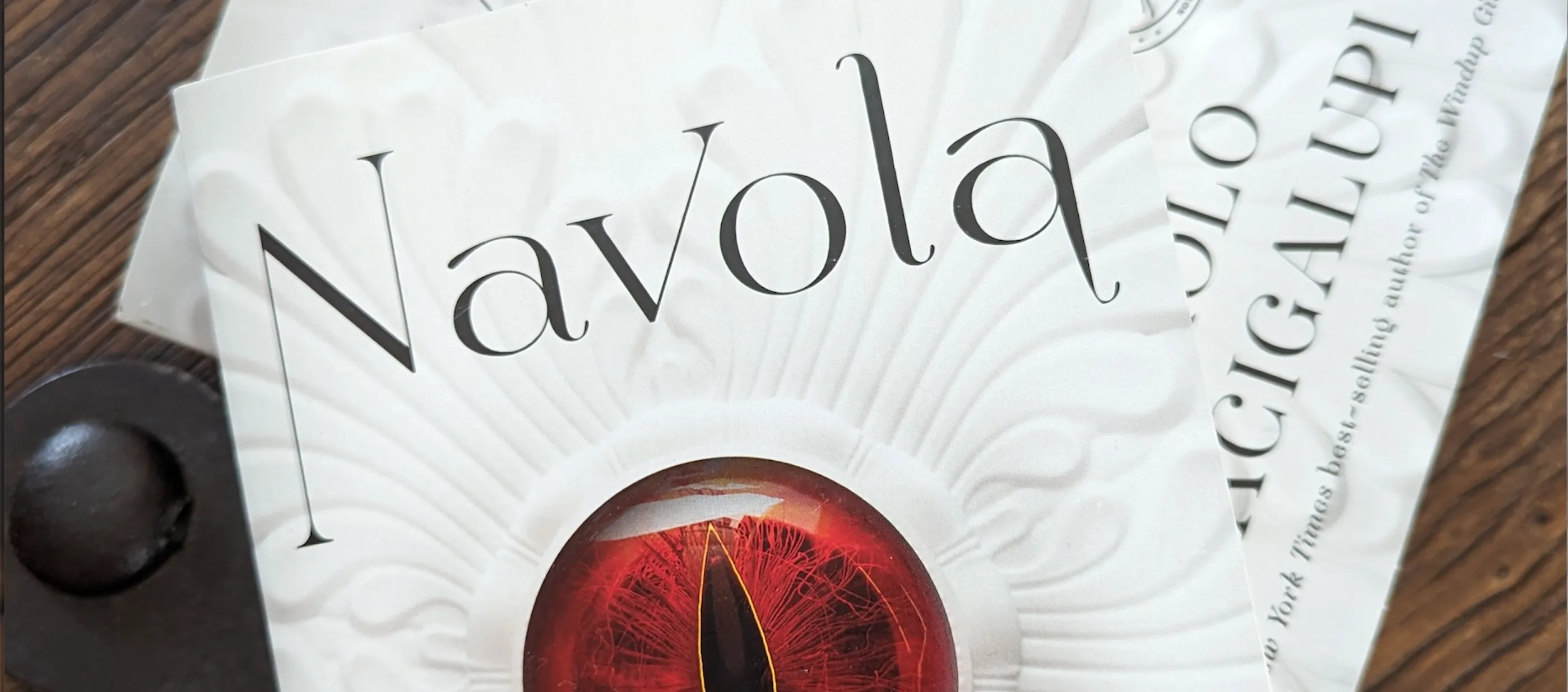 Reflections on Paolo Bacigalupi's "Navola"